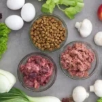 3 Fütterungsmöglichkeiten für Hunde und Katzen, Trockenfutter, Nassfutter, BARF mit Gemüse und Obst.